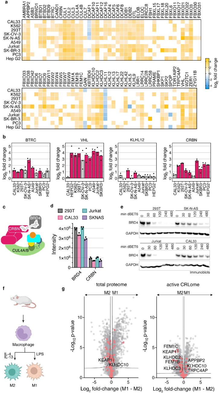 Fig. 6: