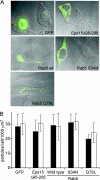 FIG. 7.