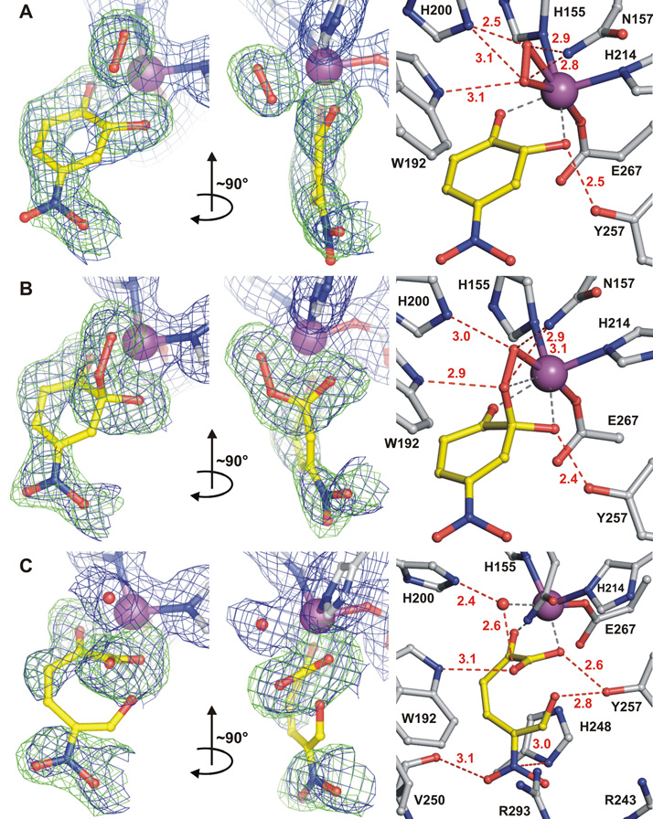 Fig. 3