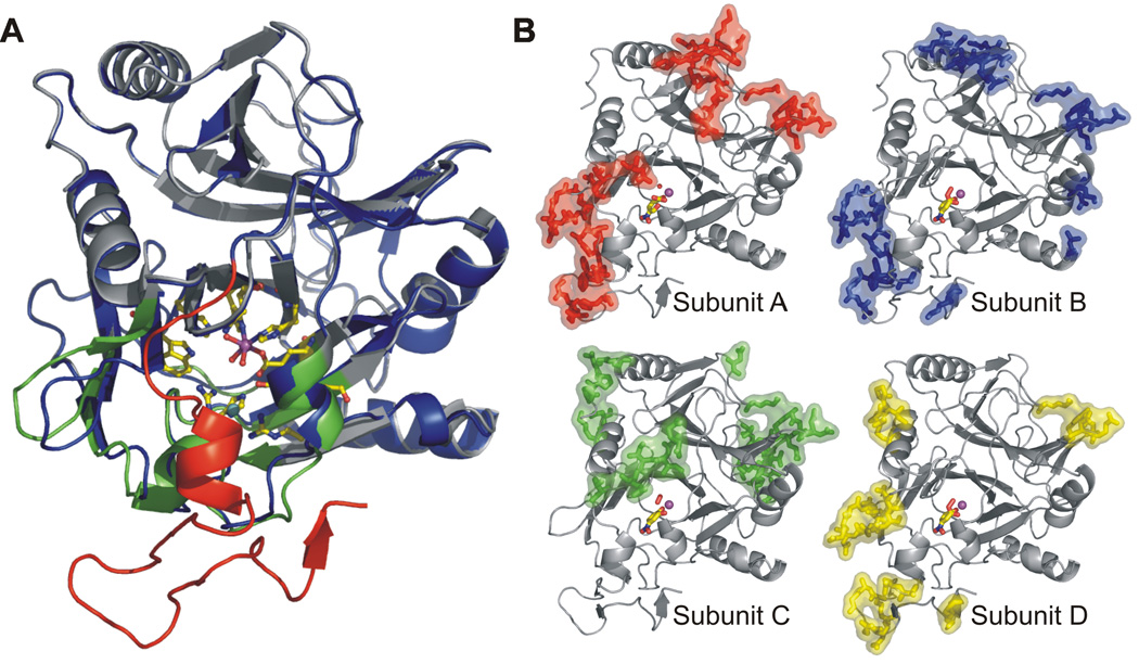 Fig. 2