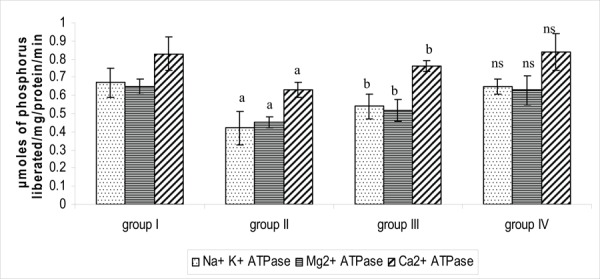 Fig. 3: