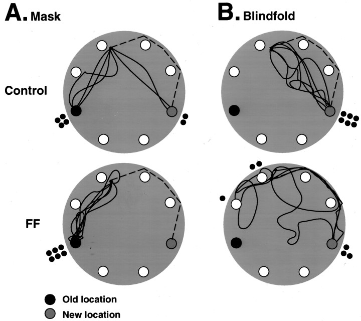 Fig. 10.