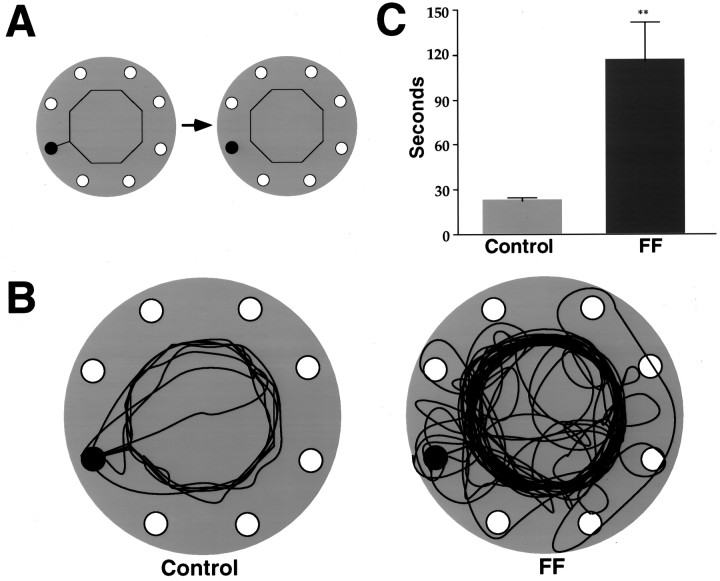 Fig. 9.