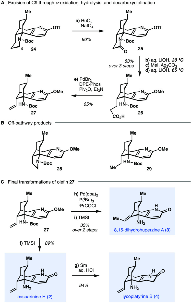 Scheme 2