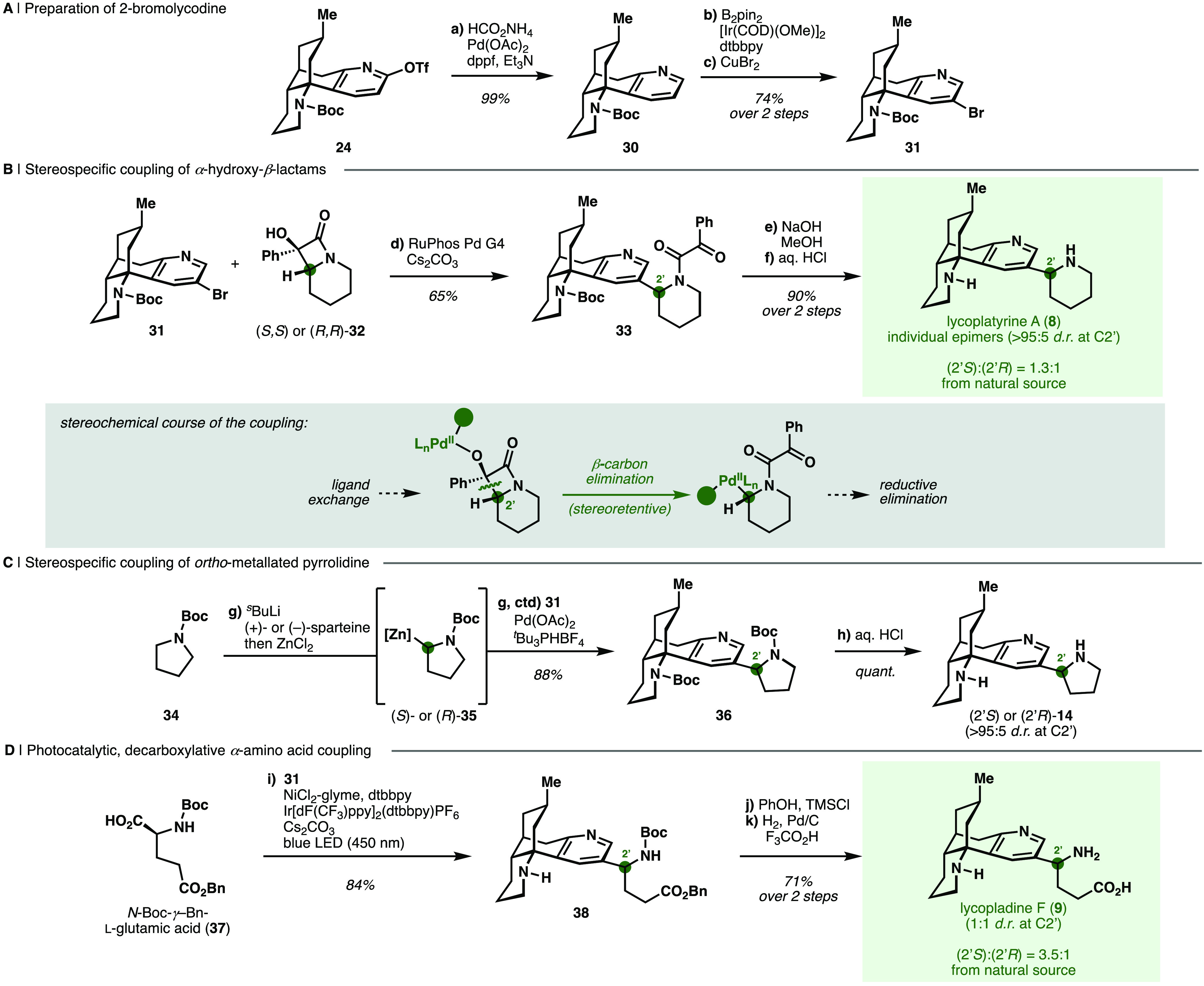 Scheme 3