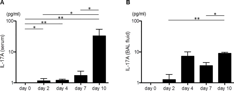 Fig 6