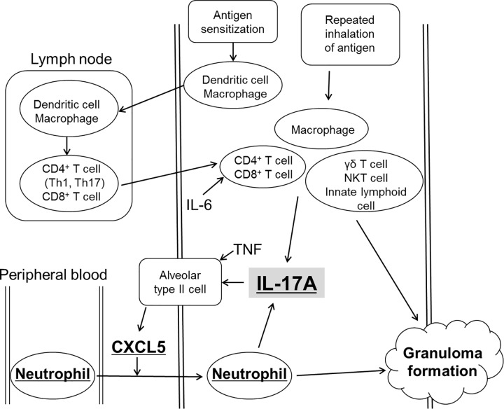 Fig 9