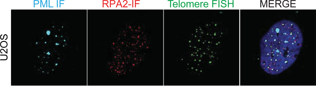 Figure 12.40.2