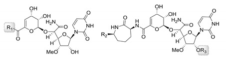 graphic file with name molecules-24-00433-i001.jpg