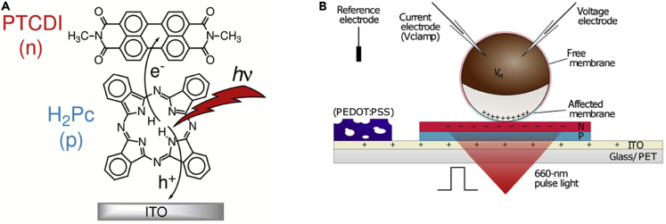 Figure 6