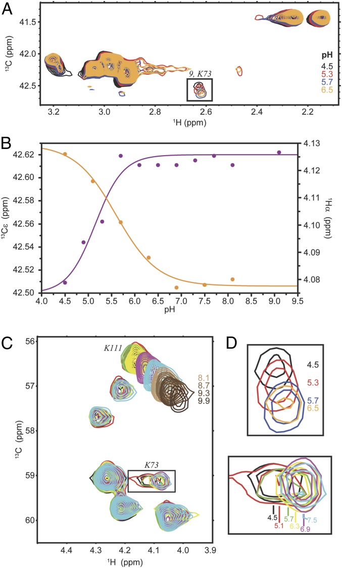 Fig. 5.