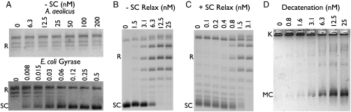 Fig. 3.