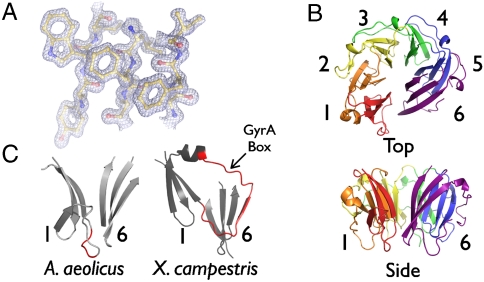 Fig. 2.