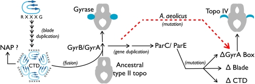 Fig. 5.