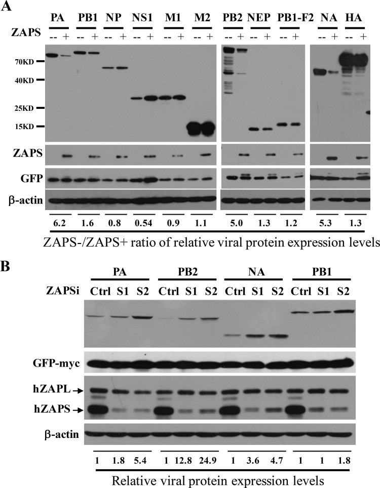 FIG 1