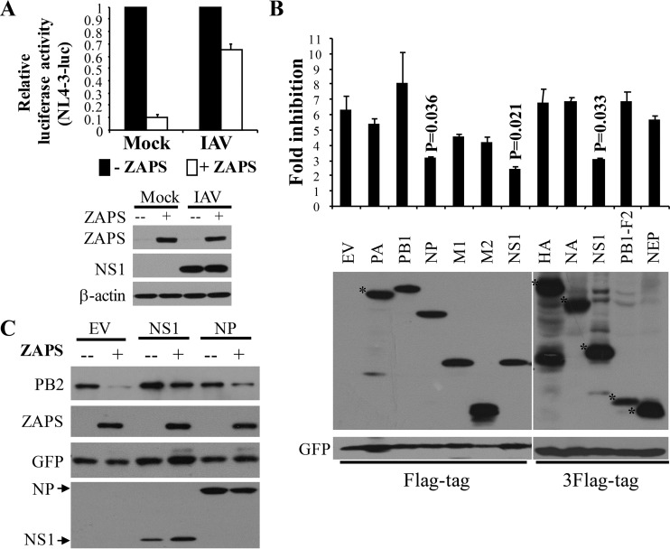 FIG 4