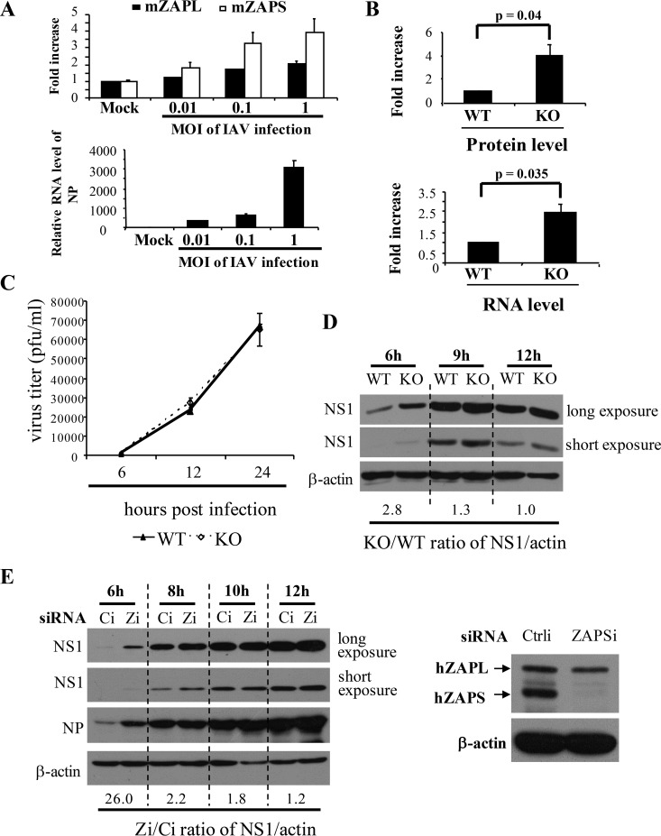 FIG 3