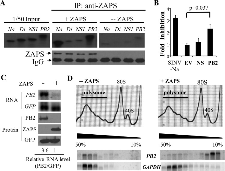 FIG 2