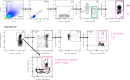 Supplementary Fig. S3