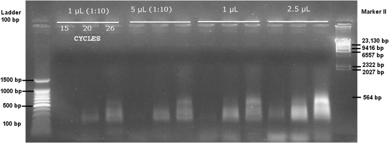 Fig. 3.