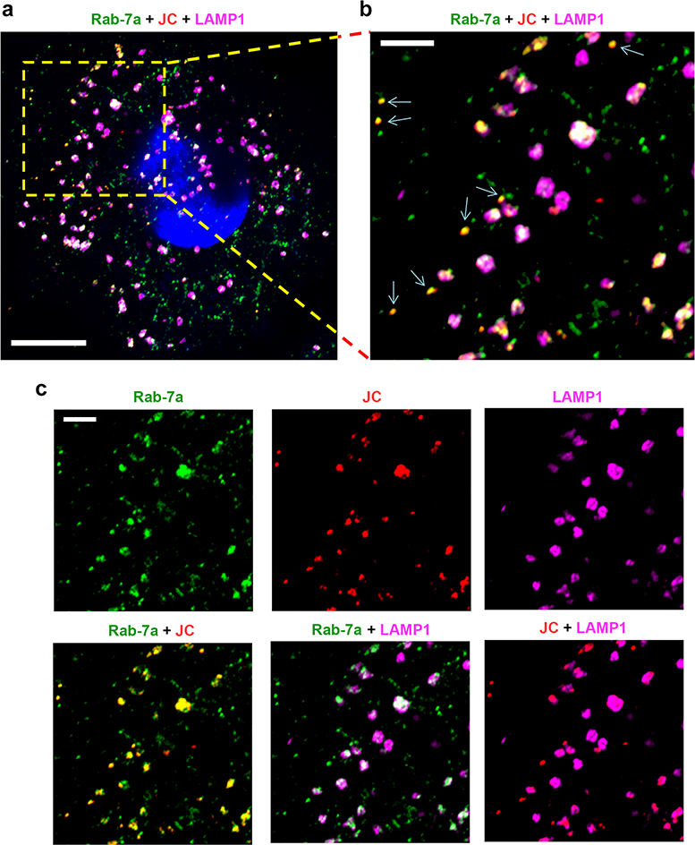 Extended Data Fig. 7