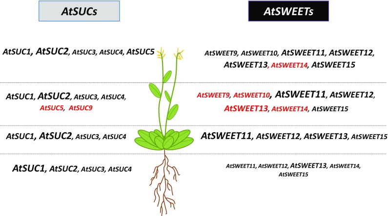 Fig. 10