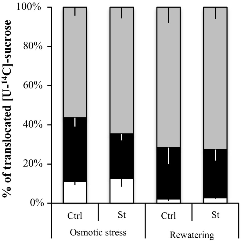 Fig. 9