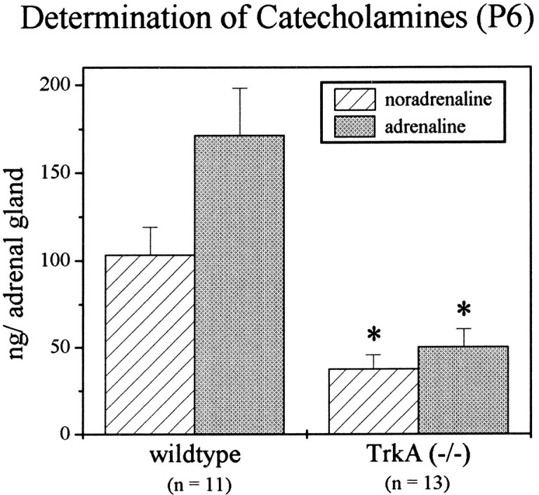 Fig. 10.