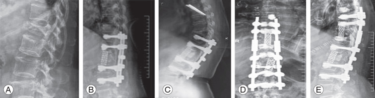 Fig. 5.