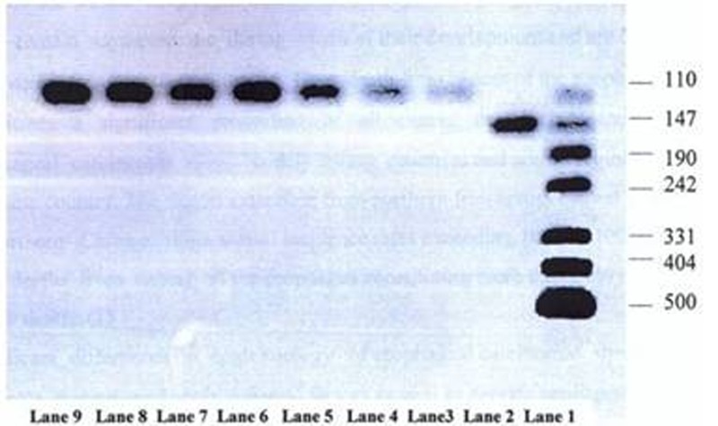 Figure 2: