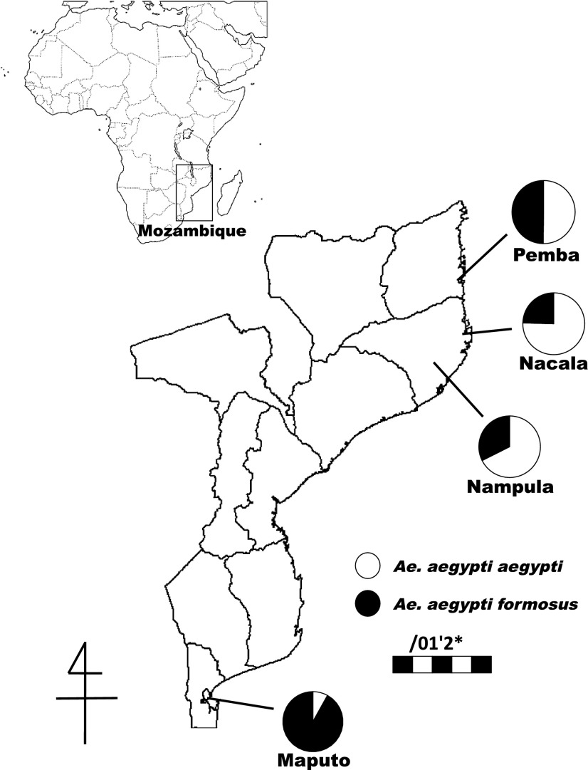 Fig. 1.