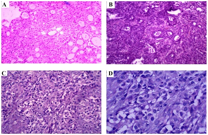 Figure 2.