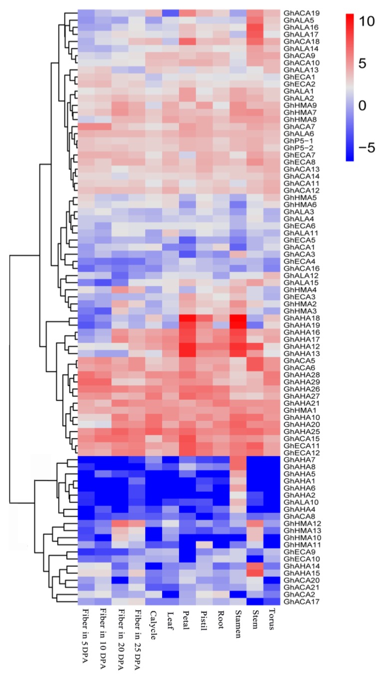 Figure 5