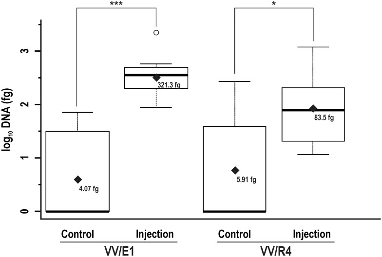 Fig 6