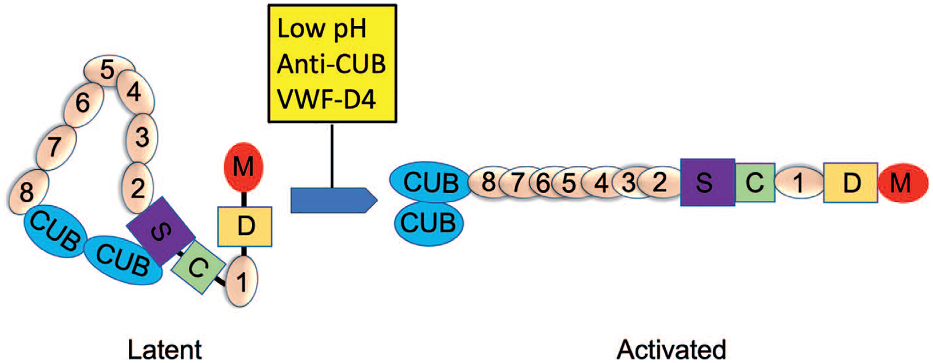 graphic file with name nihms-1986576-f0001.jpg