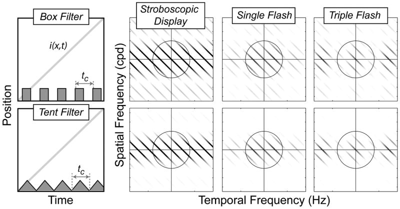 FIGURE 30