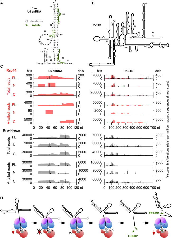 Figure 4