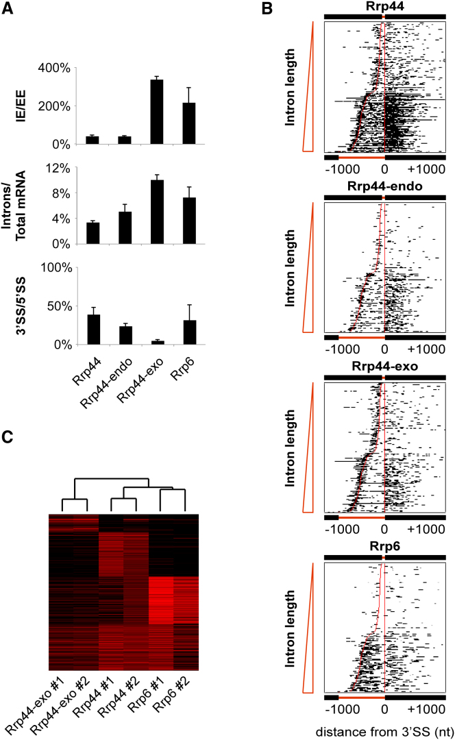 Figure 6