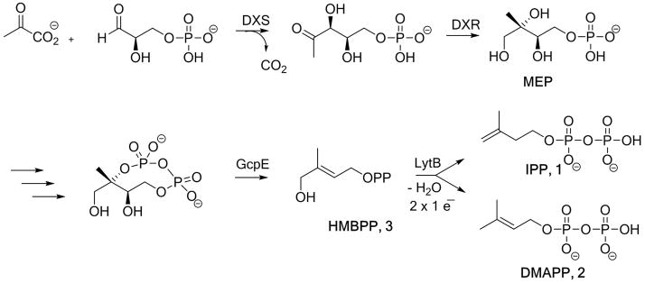 Scheme 1