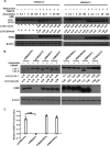 FIG 2