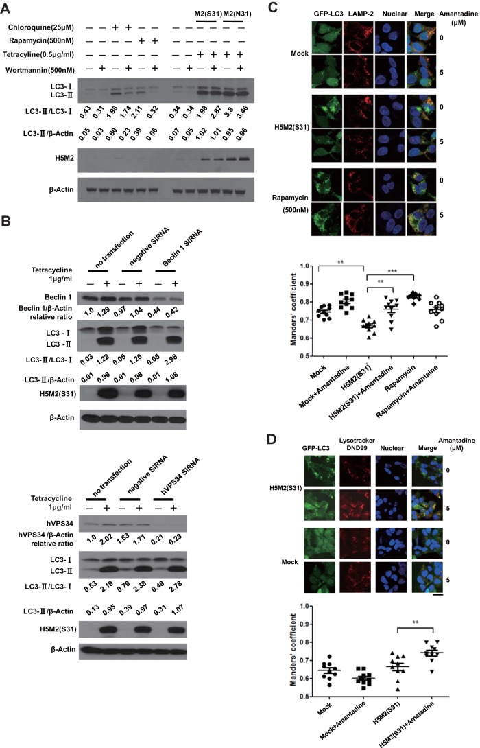 FIG 3