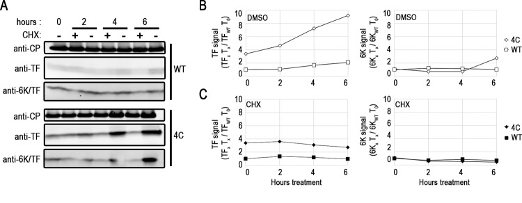 FIG 4