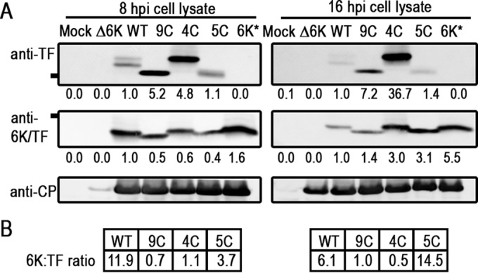 FIG 2