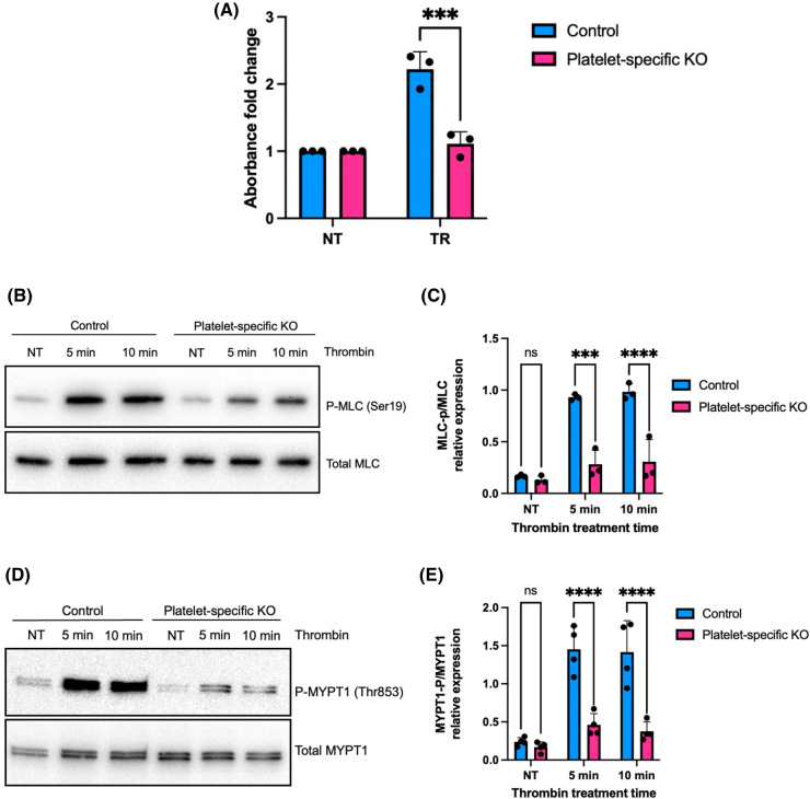 Figure 3.