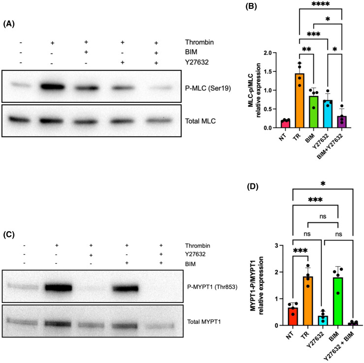 Figure 4.