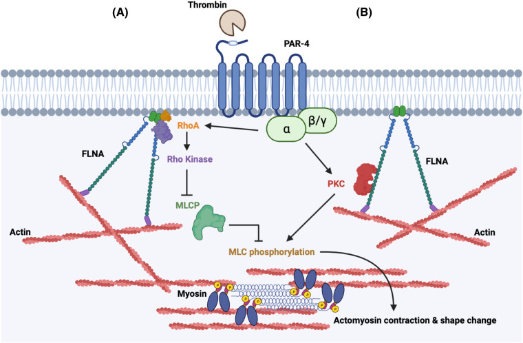 Figure 6.