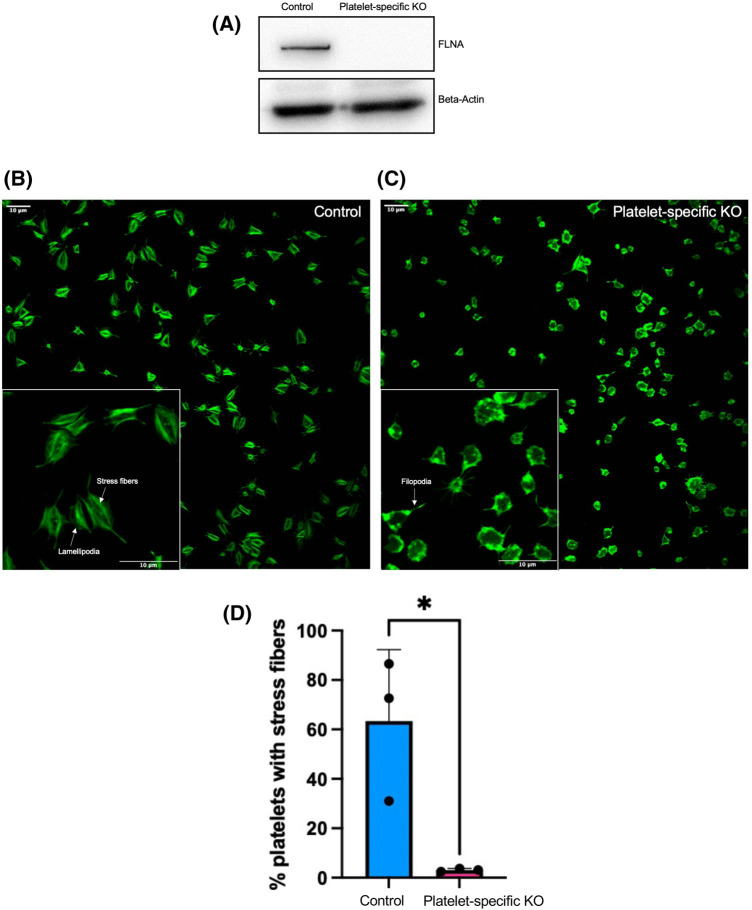 Figure 1.