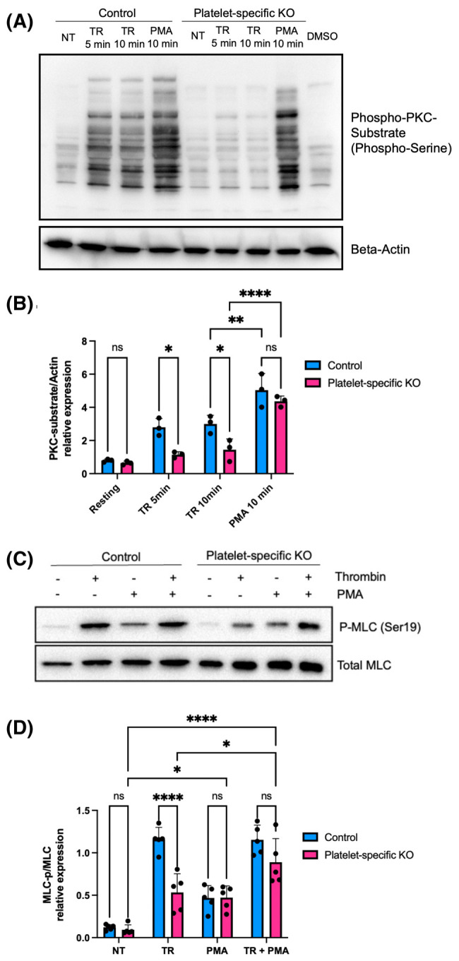 Figure 5.