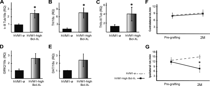 FIGURE 10.