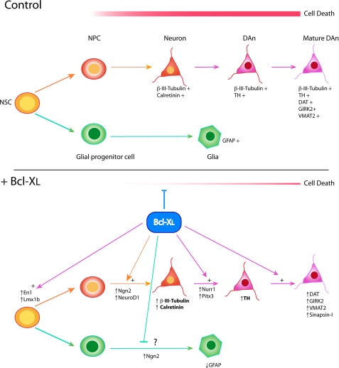 FIGURE 11.